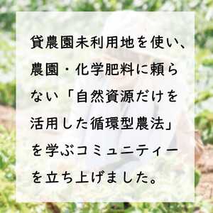 足柄ふれあい公園 体験農園 みんなの畑・おやま協賛プラン	