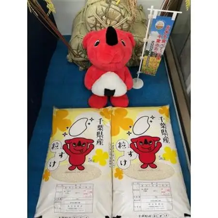 令和7年産千葉県産粒すけ精米10kg(5kg×2袋)_お米 こめ おこめ 白米 コシヒカリ 粒すけ 国産 限定 ごはん ご飯 白飯 ゴハン_【1576584】