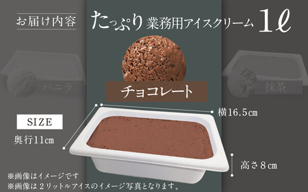 [チョコレート味] 業務用アイス1リットル 大容量 アイスクリーム 大容量 アイスクリーム 訳あり 訳アリ 北海道産 純 生クリーム 牛乳 国産 岐阜県 本巣市 卵 無添加 甘い スイーツ デザート たっぷり コーヒー メロン いちご フロート 自宅用