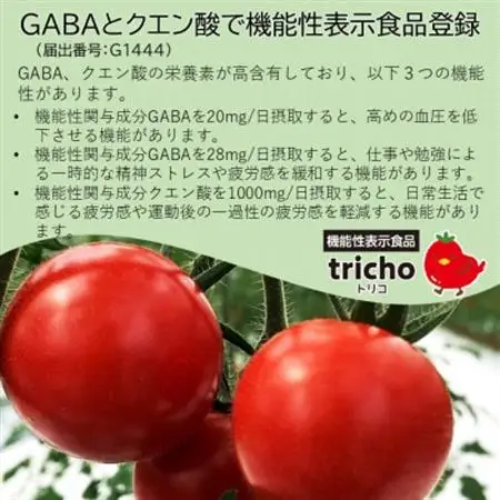 高糖度フルーツトマト「tricho(トリコ)」120g×6パックセット【配送不可地域：離島】【1577635】