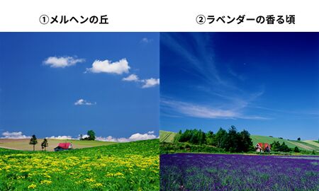 写真家　阿部俊一　額付き写真 [036-35]