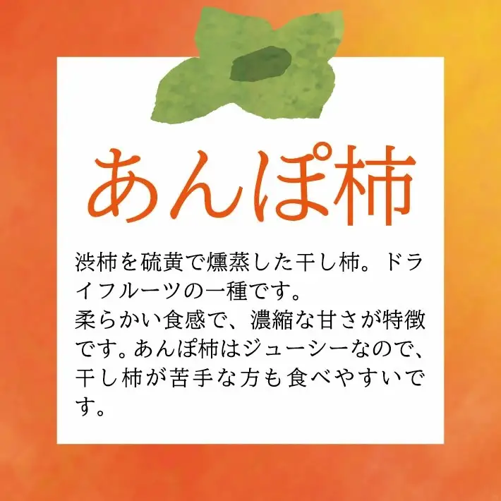庄内あんぽ柿「遊味」 1箱 3個入×4袋 山形県遊佐町産 庄内柿 2026年12月上旬～2027年1月下旬頃にお届け 冷蔵便 ※離島発送不可 東北 庄内地方 干柿 かき カキ 特別栽培柿 エコファーマー 乾燥果実 ドライフルーツ 半生 [1218]