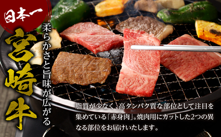 牛肉 焼肉 牛肉[宮崎牛 赤身・霜降り セット 800g]