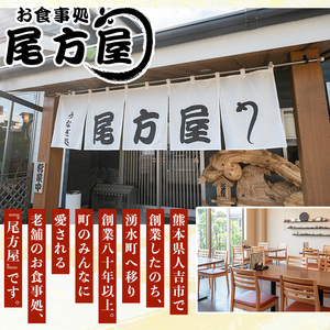 《定期便・全3回》国産！うなぎ白焼き(2尾×3回・タレ付き) 国産 九州産 鰻 ウナギ 無頭 魚 魚介類 かばやき 蒲焼 蒲焼き しろやき 白焼 おかず 特産品 お土産 ギフト プレゼント 冷蔵 定期便【尾方屋】_y491