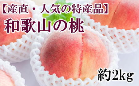 〈定期便〉【7・9・11月 全3回】産直・和歌山フルーツ（桃・ピオーネ・有田みかん） ｜ フルーツ