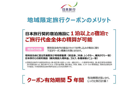 【ふるさと】沖縄県恩納村 地域限定旅行クーポン 60,000円分 日本旅行 