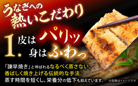 【3回定期便】【諫早淡水】うなぎ白焼き10尾  / うなぎ 白焼き 栄養価 小分け 冷凍 / 諫早市 / 諫早淡水 [AHAT042]