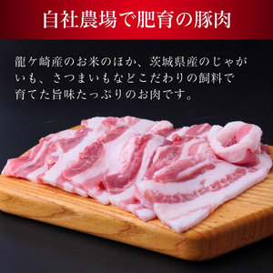豚肉 SPF豚バラ肉 2kg | 豚肉 豚肉 豚肉 豚肉 豚肉 豚肉