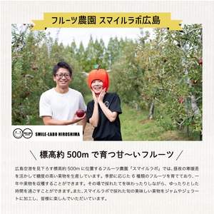 【先行受付】豊水（ほうすい）4kg 2026年9月上旬順次発送予定 梨 ナシ なし フルーツ 果物 新鮮 産地直送 広島県三原市 059010