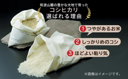 令和7年産茨城県産無洗米コシヒカリ 茨城県産無洗米あきたこまち 各5kg（合計10kg）精米 白米 ※離島への配送不可 ※2025年9月下旬～2026年7月下旬頃に順次発送予定