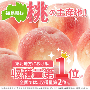 【2026年出荷分先行予約】福島県産 だて白桃 約3kg (6～10玉) 岡崎ファーム 伊達の桃 桃 フルーツ 果物 もも モモ momo F21C-007