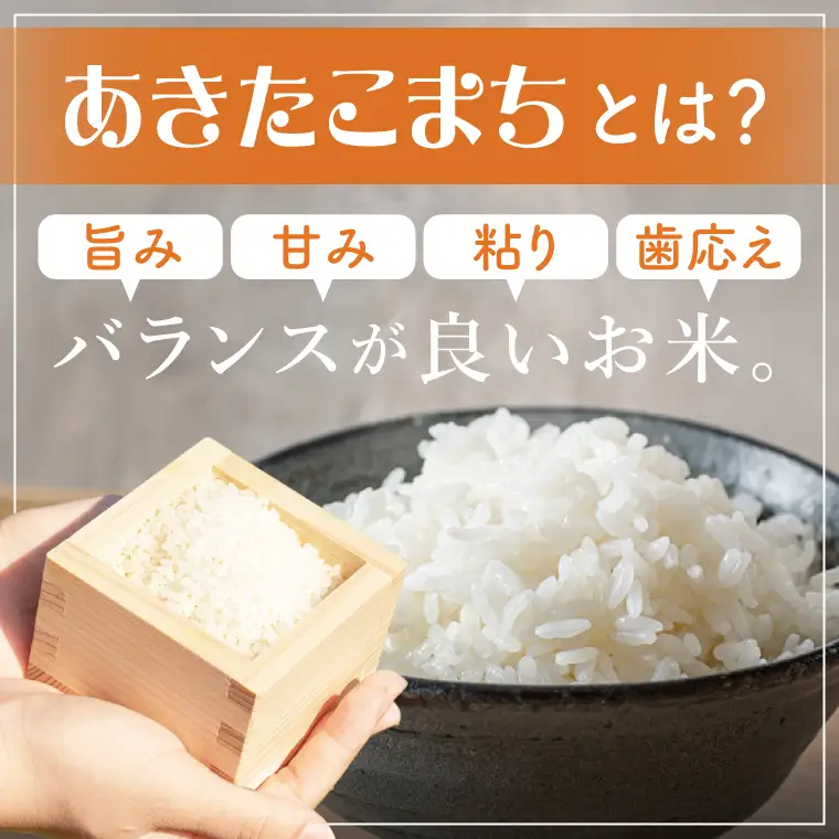 【人気2銘柄食べ比べ】令和7年産 茨城県産 あきたこまち・ふくまる　5kg×各1袋（計10kg）【お米 米 コメ こめ たべくらべ 】(AL273)
