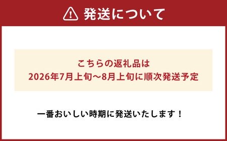 肥後グリーンメロン 2玉（4.2～4.5kg）【2026年7月上旬～8月上旬発送予定】メロン フルーツ 果物 くだもの 熊本県産 国産