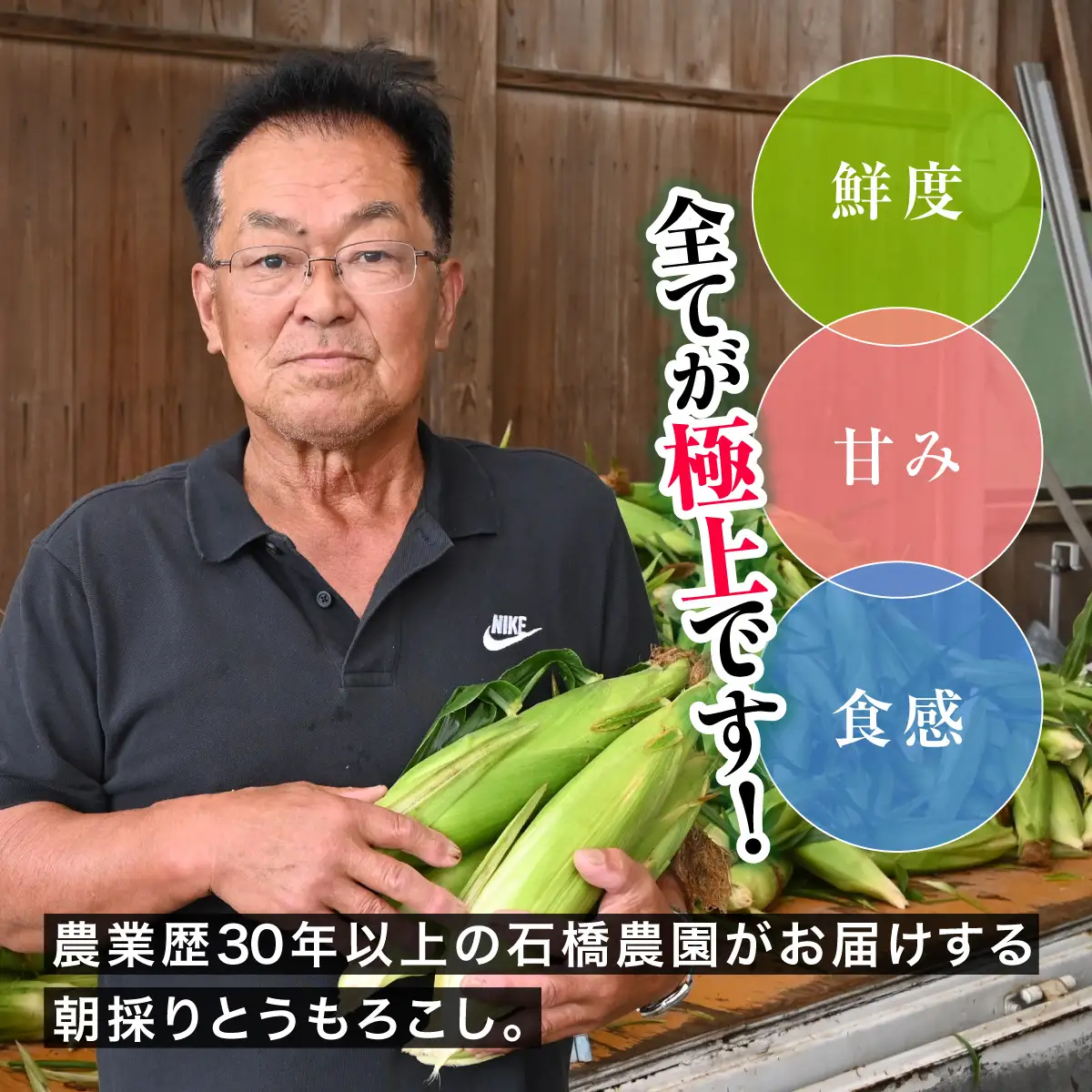 【先行予約】【6月下旬～8月中旬発送】 鮮度・甘み・食感 全てが極上! 農業歴30年以上の農家のこだわりが詰まった 朝採り とうもろこし 2L 13本 約5kg　SMCF001