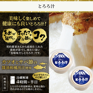 とろろ汁 5個セット 大和芋 ほんやま自然薯 すりたてののど越し コク 醤油ベース 冷凍 富士市 [sf095-005]