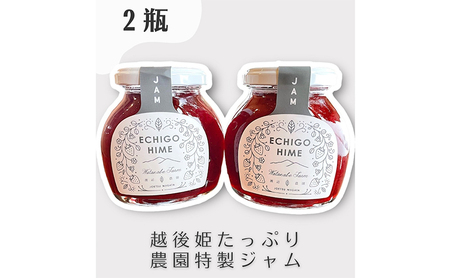いちご 越後姫 ジャム 190g×2個 からだよろこぶ越後姫 イチゴ 苺 定植後化学農薬不使用 渡辺農園 上越市 新潟県