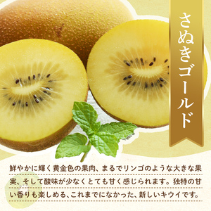 【フルーツ定期便 2回】 《さぬきゴールドからスタート》 G セット さぬきゴールド 約2.7kg せとか 約5kg  キウイ キウイフルーツ みかん 柑橘 旬 果物 国産 香川県 フルーツ定期便 F5J-785