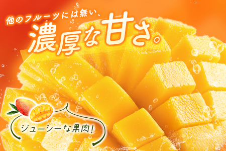 ＜数量限定＞宮崎県産 完熟マンゴー2L×2玉（計700g以上）※2026年4月下旬配送開始 化粧箱入 フルーツ くだもの【C355-26】