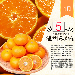 【全3回】紀州和歌山産旬のご家庭用柑橘セット(みかん・不知火・清見)【tkb411】