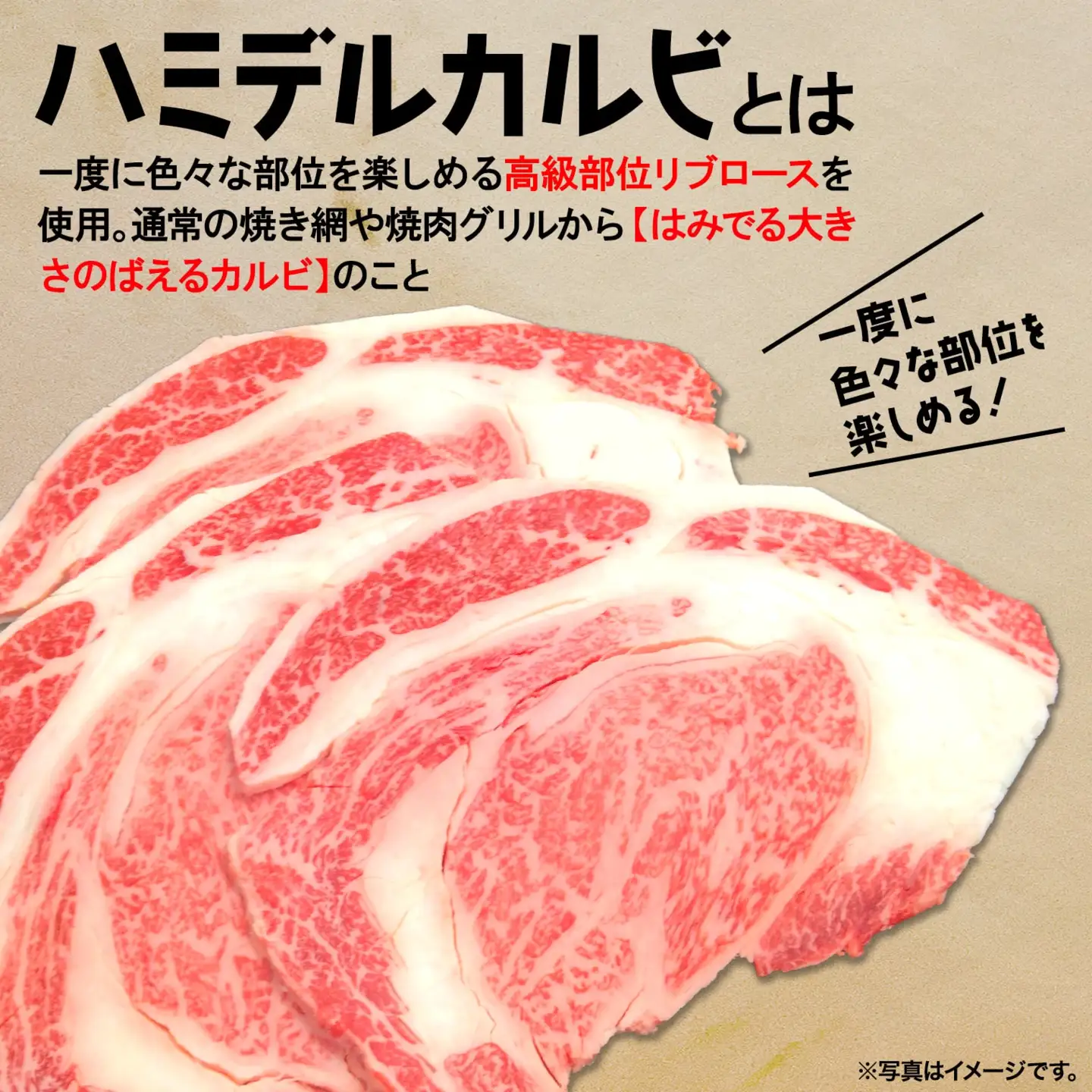 K2469 【最短7日発送】【常陸牛】ハミデルカルビ 500g (3～5枚) 〈茨城県共通返礼品〉