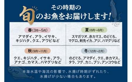 【定期便】どんちっち浜田【至高】の鮮魚 10回～最高級この男シリーズ～ 【006_2052】