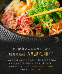 鹿児島県産黒毛和牛切落し250ｇ×3パック LRプラスK 《90日以内に出荷予定(土日祝除く) 》 鹿児島県産 A5 黒毛和牛 和牛 切落し 250ｇ×3パック 計750g