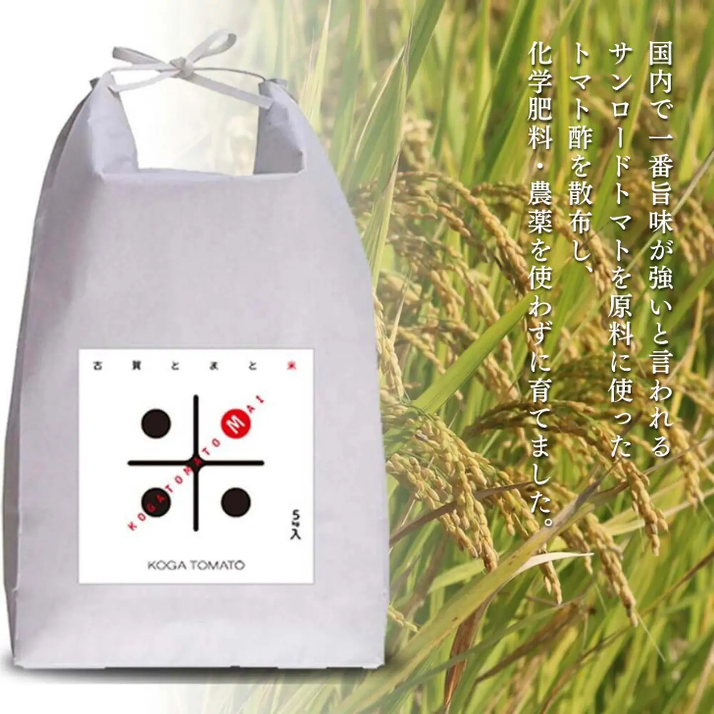 令和7年産 トマト酢を使って育てた「つや姫」 白米9kg：B365-008
