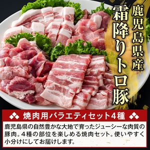 K-379-C 鹿児島県産霜降りトロ豚 焼肉用バラエティセット(合計3kg)【ふるさと産直バザール】霧島市 ロース バラ ウデ モモ 焼き肉 ヤキニク 豚肉 国産 鹿児島県産 肉 精肉 小分け セット 食べ比べ