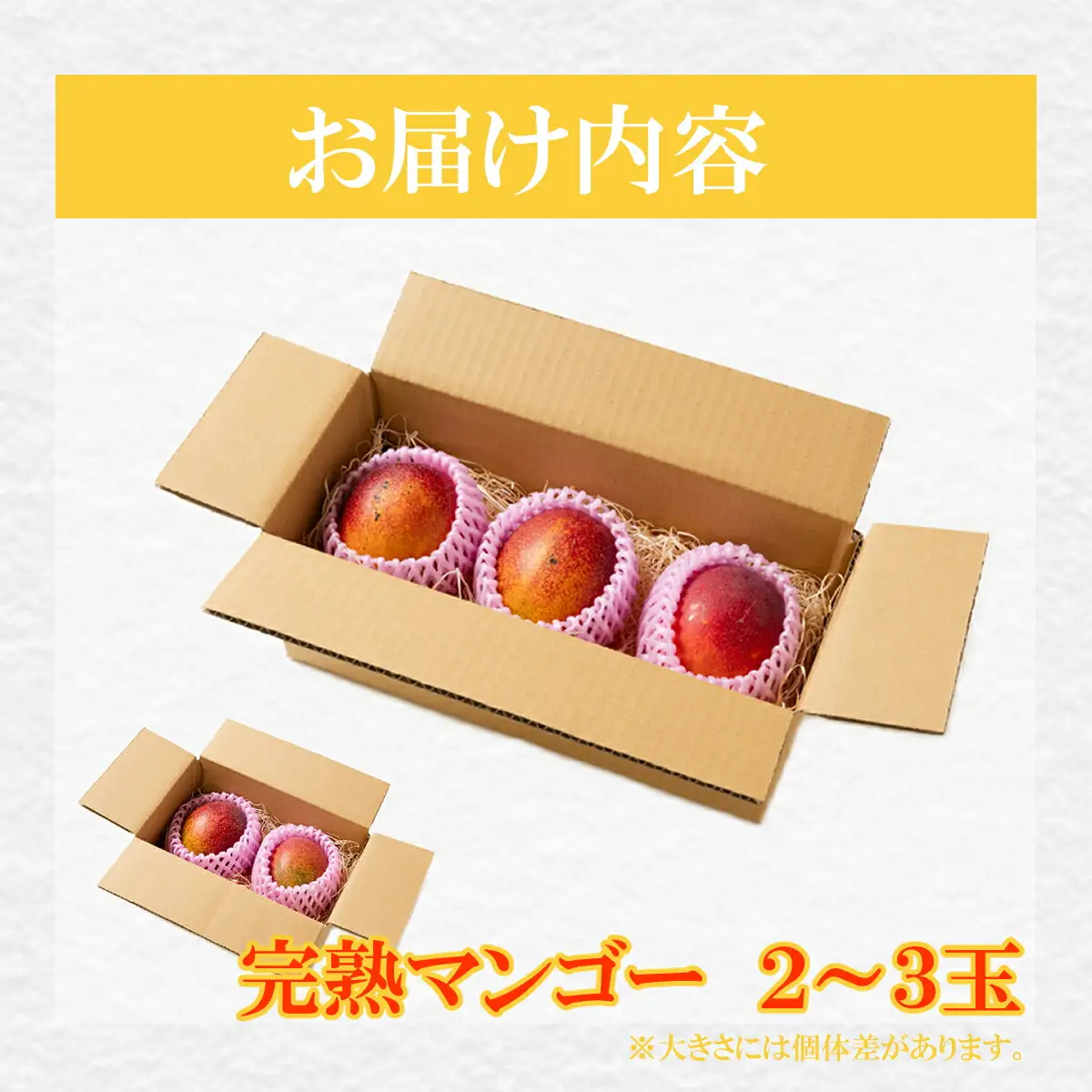 高知県安芸市産 完熟マンゴー「アーウィンアップルマンゴー」（岡宗農園）