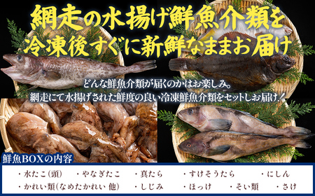 【先行予約】【訳あり】網走産冷凍鮮魚BOX～未利用魚の有効活用（漁業生産者応援企画）～【令和8年4月より順次発送】 ABAE011