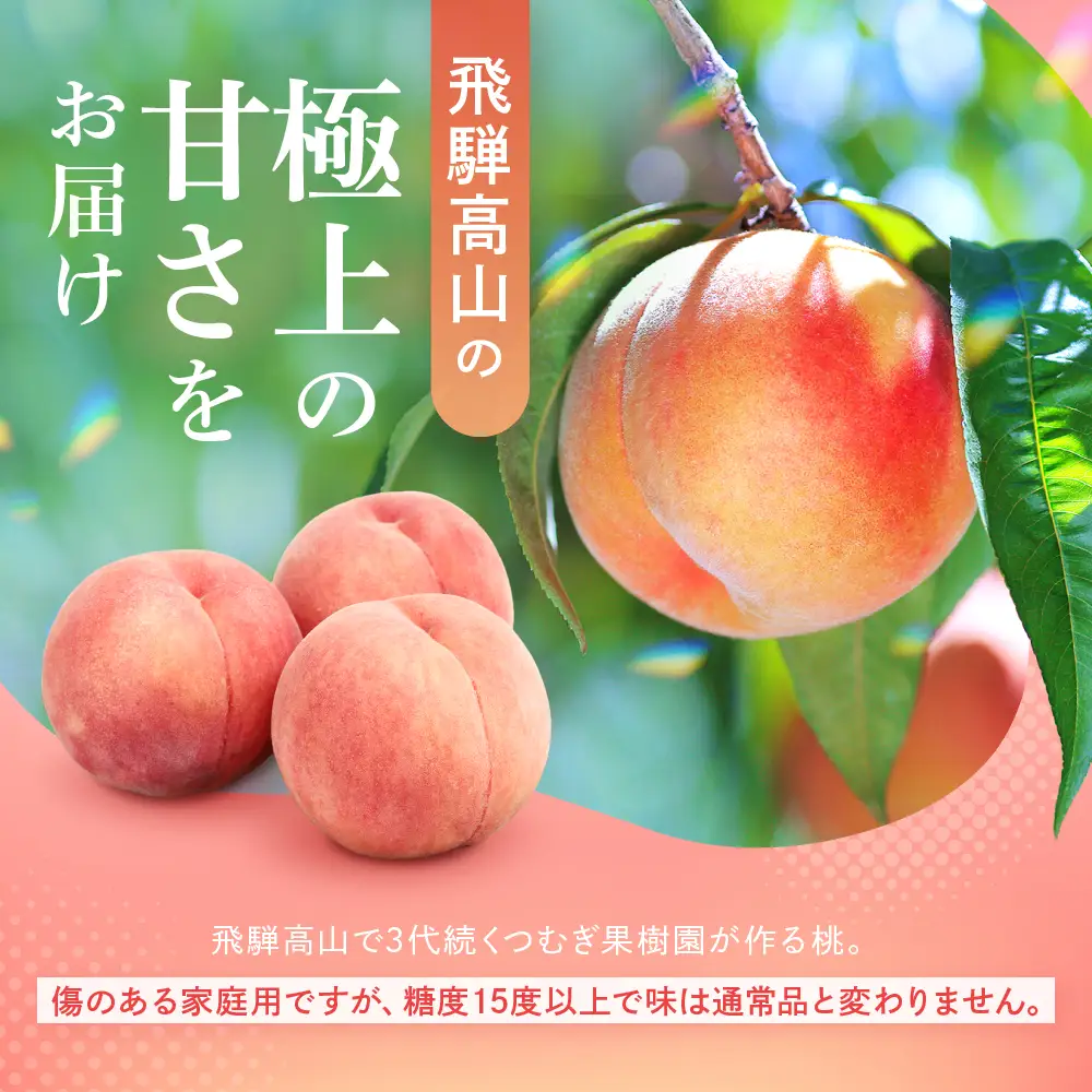 【ふるなび限定】訳あり 桃 飛騨の桃（4-8玉）FN-Limited-PR