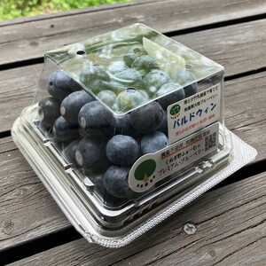 【先行予約30セット限定】大粒完熟ブルーベリー2種セレクト食べ比べセット ※2026年7月～8月中旬頃次発送予定 ※離島への配送不可