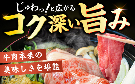 【12回定期便】サーロイン しゃぶしゃぶ すき焼き用 300g / 牛肉 お肉 しゃぶしゃぶ すき焼き [AFBO017] 