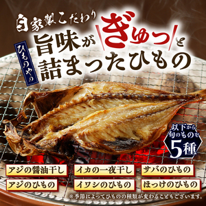 ひもの セット 詰合せ 特選 5種 手作り アジ イカ イワシ サバ ほっけ 醤油干し 一夜干し 昔ながら おかず おつまみ ごはん 冷凍 干物 魚 富士市 [sf001-163]