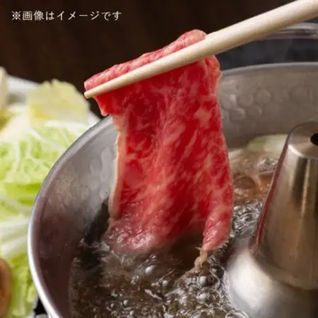 飛騨牛5等級 サーロインすき焼き用500g　FTA167_肉 すき焼き 牛肉 すきやき スキヤキ  肉 飛騨牛 牛肉 うし ビーフ_【配送不可地域：離島】【1578156】