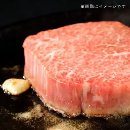 飛騨牛5等級 サーロインステーキ400g(200g×2枚)　FTA189_肉 ステーキ 牛肉 ビーフステーキ  肉 飛騨牛 牛肉 うし ビーフ_【配送不可地域：離島】【1578190】