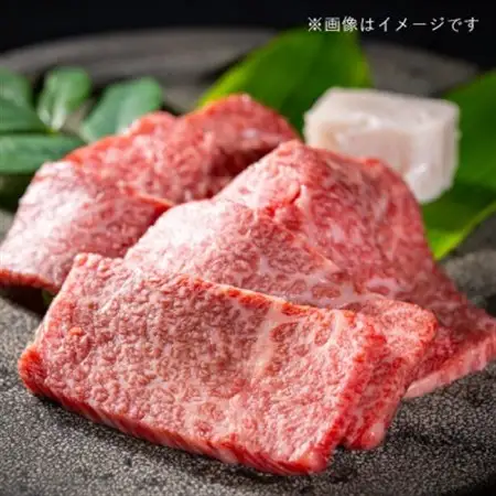 飛騨牛5等級 ももスライス300g　FTA193_肉 飛騨牛 牛肉 うし ビーフ_【配送不可地域：離島】【1578204】