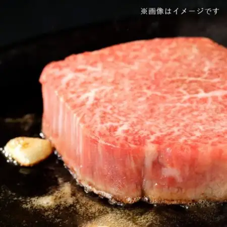 飛騨牛5等級 サーロインステーキ1kg(200g×5枚)　FTA266_肉 ステーキ 牛肉 ビーフステーキ  肉 飛騨牛 牛肉 うし ビーフ_【配送不可地域：離島】【1578231】