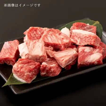 飛騨牛5等級 スネ肉煮込み用1kg(500g×2P)　FTA282_肉 飛騨牛 牛肉 うし ビーフ_【配送不可地域：離島】【1578295】
