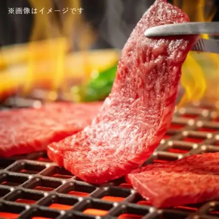 飛騨牛5等級 サンカクバラ焼肉用1kg(500g×2P)　FTA285_肉 焼肉 牛肉 やきにく ヤキニク バーベキュー  肉 飛騨牛 牛肉 うし ビーフ_【配送不可地域：離島】【1578303】