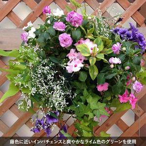 花 寄植え バスケット 季節の花　植物