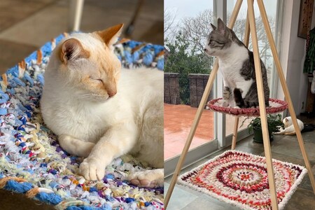 猫 ハンモック ねこいとハンモック 1段タイプ [ねこいとハンモックpama 石川県 中能登町 27ao0013]