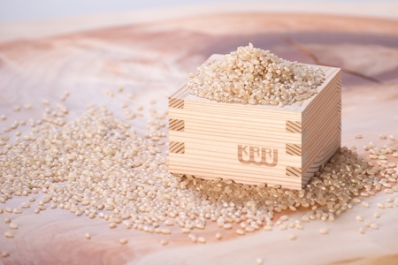 奈良県産有機JAS認証玄米100％使用玄米麺 桑 ／ 樞 クルル エシカル・サスティナブル SDGs 癒しの玄米麺 奈良県 葛城市【kuru003】