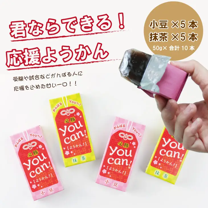 you can! ようかん10本入 羊羹 和菓子 羊羹 A070-041 