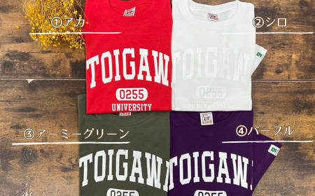 【選べるカラー･サイズ】糸魚川オリジナル『いといがわ大学』Ｔシャツ 1枚 半袖（XS･S･M･L･XLサイズ）コットン【ITOIGAWA大学 新潟県 糸魚川市 ヒスイ 衣類 おしゃれ シンプル いまいスポーツ ティーシャツ メンズ レディース キッズ アカ シロ アーミーグリーン パープル】
