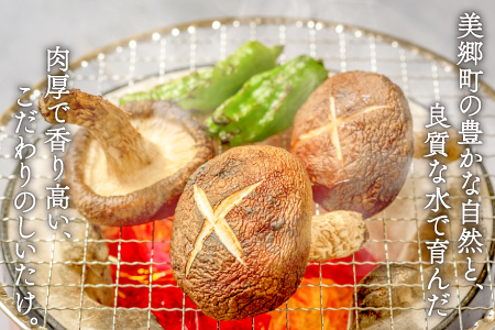 菌床しいたけ　かご入り