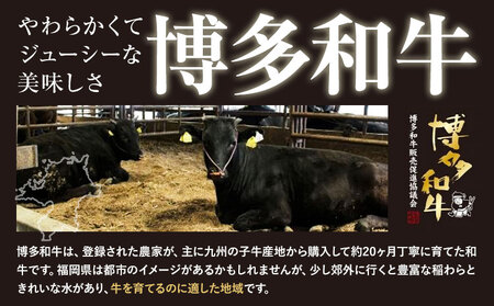 博多和牛 上スライス 450g 有限会社堀田農産 堀ちゃん牧場《60日以内に出荷予定(土日祝除く)》福岡県 小竹町 牛 和牛 牛肉 スライス しゃぶしゃぶ すき焼き 牛丼