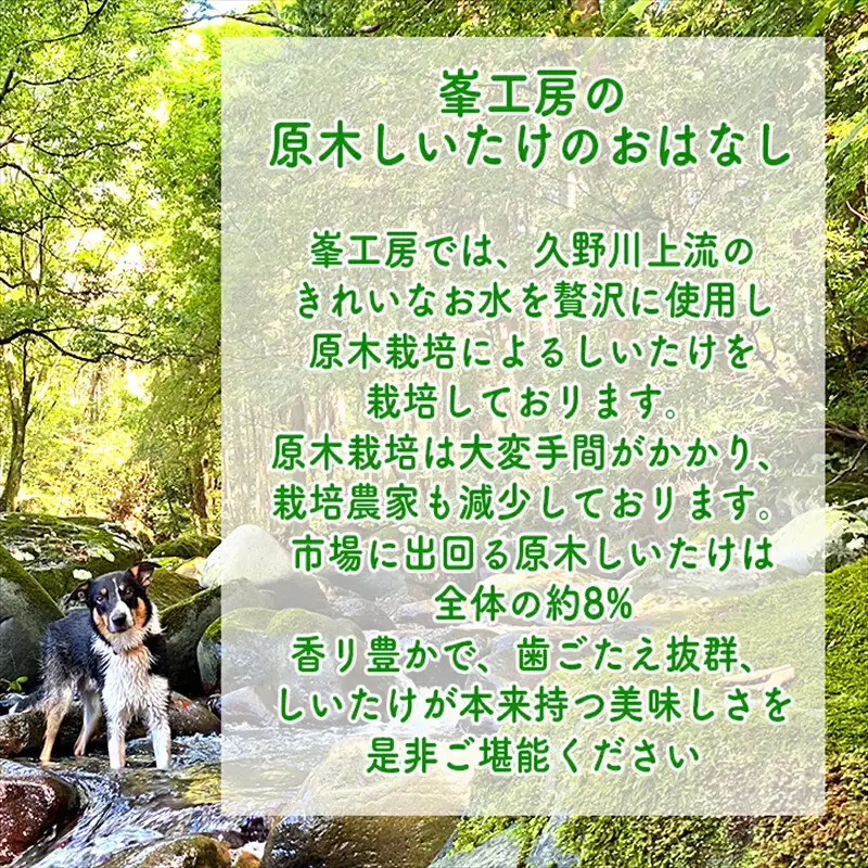 スイスで加工品を学んだ農家が手間暇かけて手づくりした『しいたけ味噌』≪お得サイズ≫9本セット【 家庭用 自宅用 贈答品 贈答用 ギフト お取り寄せ お中元 お歳暮 贈り物 お祝い 神奈川県 小田原市 味噌 味噌】