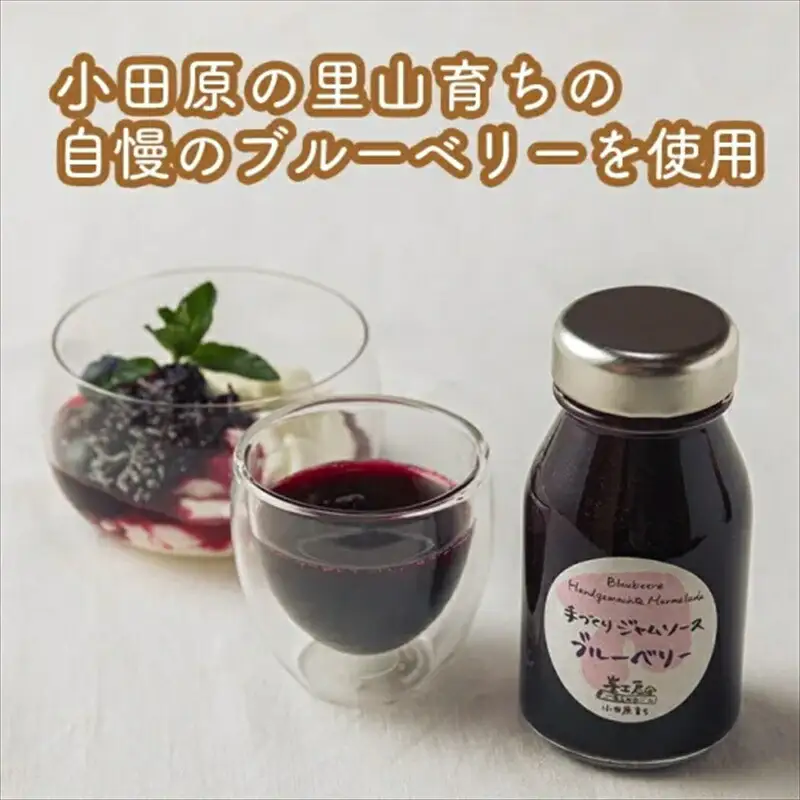 スイスで加工品を学んだ農家が作った手づくりジャムソース 16本セット 手作りみかん キウイ あまなつ ブルーベリー他 125ml 詰め合わせ ギフト【 家庭用 自宅用 贈答品 贈答用 ギフト お取り寄せ お中元 お歳暮 贈り物 お祝い 神奈川県 小田原市 ジャム ジャム 】