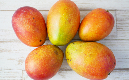 マンゴー【2026年発送】ご家庭用！濃密マンゴー《家庭用・約4kg》